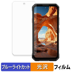 �y�|�C���g2�{�z OUKITEL WP58 Pro 5G �ی�t�B���� �u���[���C�g�J�b�g �t�B���� �y ����d�l �z ���{��