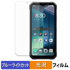 �y�|�C���g2�{�z Blackview FORT 2 �ی�t�B���� �u���[���C�g�J�b�g �t�B���� �y ����d�l �z ���{��