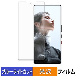 �y�y�V�X�[�p�[SALE �|�C���g2�{�z ZTE nubia REDMAGIC 11 Pro / Pro+ ( �C���J�������L�� ) �ی�t�B���� �u���[���C�g�J�b�g �t�B���� �y ����d�l �z ���{��