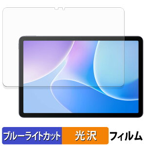 �y8/11 1:59�� �|�C���g2�{�z Infinix XPAD 20 �ی�t�B���� �u���[���C�g�J�b�g �t�B���� �y ����d�l �z ���{��