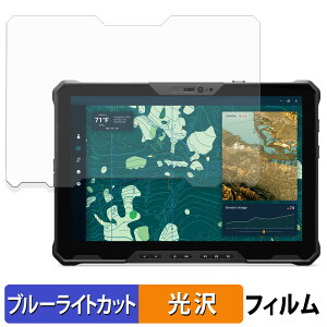 DELL Pro Rugged 12タブレット 保護フィルム ブルーライトカット フィルム 【 光沢仕様 】 日本製