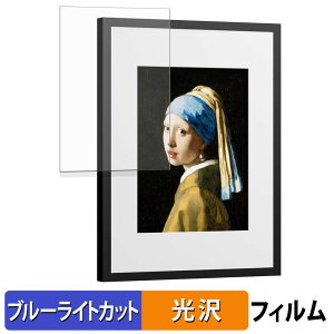 SwitchBot AI�A�[�g�L�����o�X 13.3�C���` �ی�t�B���� �u���[���C�g�J�b�g �t�B���� �y ����d�l �z ���{��