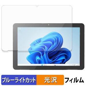 �y�|�C���g2�{�z ODS TW2A-N9 �V���[�Y �ی�t�B���� �u���[���C�g�J�b�g �t�B���� �y ����d�l �z ���{��