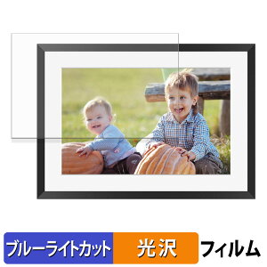 �y�|�C���g2�{�z KODAK RCF-1005P �ی�t�B���� �u���[���C�g�J�b�g �t�B���� �y ����d�l �z ���{��