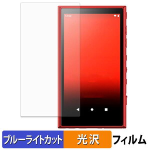 sony �E�H�[�N�}�� NW-A100�V���[�Y �ی�t�B���� �u���[���C�g�J�b�g �t�B���� �y ����d�l �z ���{��