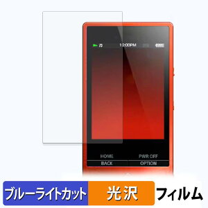 SONY �E�H�[�N�}�� NW-A20 / NW-A10 �V���[�Y �ی�t�B���� �u���[���C�g�J�b�g �t�B���� �y ����d�l �z ���{��