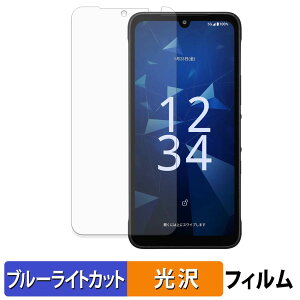 �y�|�C���g2�{�z ���Z�� DIGNO SX5 �ی�t�B���� �u���[���C�g�J�b�g �t�B���� �y ����d�l �z ���{��