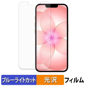 Apple iPhone 17e �ی�t�B���� �u���[���C�g�J�b�g �t�B���� �y ����d�l �z ���{��