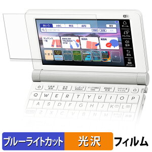 �y�|�C���g2�{�z CASIO Ex-word XD-SX9810 �ی�t�B���� �u���[���C�g�J�b�g �t�B���� �y ����d�l �z ���{��