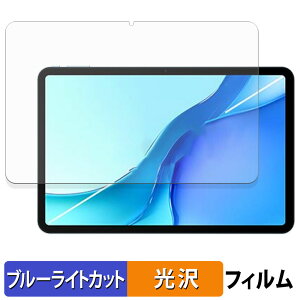 �y�|�C���g2�{�z DOOGEE POCKAM P13 PRO �ی�t�B���� �u���[���C�g�J�b�g �t�B���� �y ����d�l �z ���{��