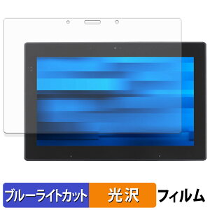 �y�|�C���g2�{�z EPSON Endeavor TN52E / JT52 �ی�t�B���� �u���[���C�g�J�b�g �t�B���� �y ����d�l �z ���{��