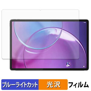 �y�|�C���g2�{�z Lenovo Idea Tab Pro Gen 2 ( 13�C���` ) �ی�t�B���� �u���[���C�g�J�b�g �t�B���� �y ����d�l �z ���{��