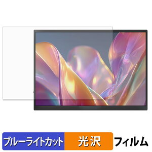 JAPANNEXT JN-MD-iET105FP / JN-MD-IPST105FP �ی�t�B���� �u���[���C�g�J�b�g �t�B���� �y ����d�l �z ���{��