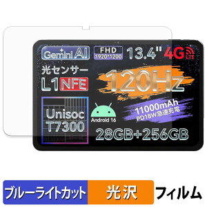 �y�|�C���g2�{�z LZF ZPad2 �ی�t�B���� �u���[���C�g�J�b�g �t�B���� �y ����d�l �z ���{��