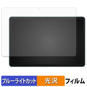 WINMIQ P10 �ی�t�B���� �u���[���C�g�J�b�g �t�B���� �y ����d�l �z ���{��