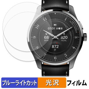 �y�|�C���g2�{�z iFLYTEK AIWATCH (2���Z�b�g) �p �ی�t�B���� �u���[���C�g�J�b�g �t�B���� �y ����d�l �z ���{��