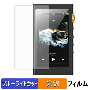 �y���������}���\���|�C���g2�{�z HIFI WALKER H20 Ultra �ی�t�B���� �u���[���C�g�J�b�g �t�B���� �y ����d�l �z ���{��
