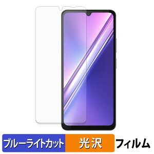 �y8/11 1:59�� �|�C���g2�{�z DOOGEE M30 �ی�t�B���� �u���[���C�g�J�b�g �t�B���� �y ����d�l �z ���{��