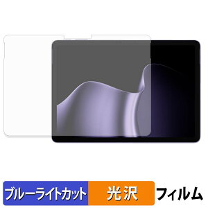 �y���������}���\���|�C���g2�{�z Microsoft Surface Pro 12 �C���` ( ��2���� ) �ی�t�B���� �u���[���C�g�J�b�g �t�B���� �y ����d�l �z ���{��