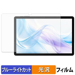 BIRDCLAW P11 Pro �ی�t�B���� �u���[���C�g�J�b�g �t�B���� �y ����d�l �z ���{��