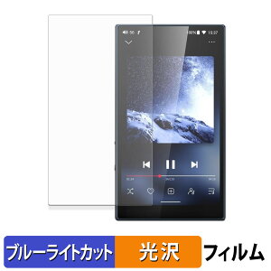 FIIO M21 �ی�t�B���� �u���[���C�g�J�b�g �t�B���� �y ����d�l �z ���{��