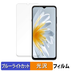 ZTE Voyage 3D �ی�t�B���� �u���[���C�g�J�b�g �t�B���� �y ����d�l �z ���{��