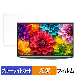 MageDok 14�C���` 2K �L�@EL���o�C�����j�^�[ PI-X11 ������ �ی�t�B���� �u���[���C�g�J�b�g �t�B���� �y����d�l�z ���{��