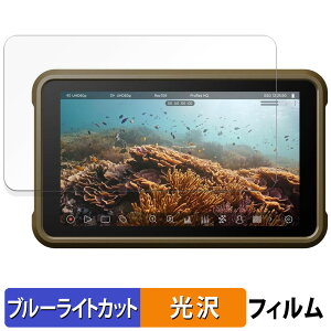 ATOMOS NINJA ( ATOMNJA004 ) / NINJA ULTRA ( ATOMNJAU01 ) یtB u[CgJbg tB y dl z {
