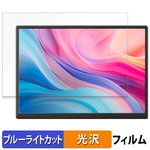 JAPANNEXTJN-MD-IPS105FP �ی�t�B���� �u���[���C�g�J�b�g �t�B���� �y ����d�l �z ���{��