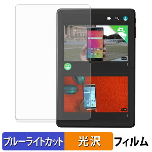 �y7/26 1:59�� �|�C���g2�{�z Callsky Cpad 10 �ی�t�B���� �u���[���C�g�J�b�g �t�B���� �y ����d�l �z ���{��
