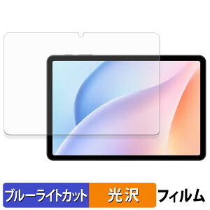 �y�|�C���g2�{�z DOOGEE Tab A9 Pro �ی�t�B���� �u���[���C�g�J�b�g �t�B���� �y ����d�l �z ���{��