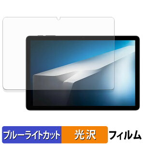 �y�|�C���g2�{�z DOOGEE Tab A9+ �ی�t�B���� �u���[���C�g�J�b�g �t�B���� �y ����d�l �z ���{��