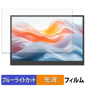 JAPANNEXT JN-MD-IPS122WX �ی�t�B���� �u���[���C�g�J�b�g �t�B���� �y ����d�l �z ���{��