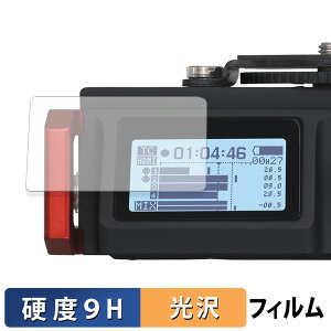 TASCAM �J�����p���j�APCM���R�[�_�[ �~�L�T�[ DR-701D �K���X�t�B���� (�ɔ��t�@�C�o�[) �ی�t�B���� �y 9H���d�x ����d�l �z ���{��