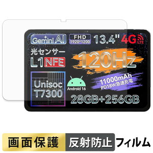�y�|�C���g2�{�z LZF ZPad2 �t�B���� �t�� �ی�t�B���� �y ���˒ጸ �z ���{��