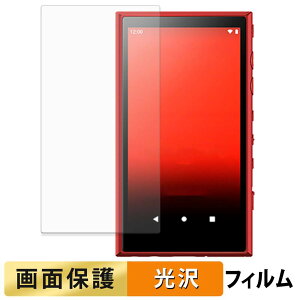 sony �E�H�[�N�}�� NW-A100�V���[�Y �t�B���� �y �����ߗ� �z �t�� �ی�t�B���� ���{��
