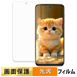 OUKITEL C68 Plus ( ���C���f�B�X�v���C ) �t�B���� �y �����ߗ� �z �t�� �ی�t�B���� ���{��