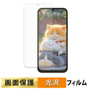 FOSSiBOT S7 ( ���C���f�B�X�v���C ) �t�B���� �y �����ߗ� �z �t�� �ی�t�B���� ���{��