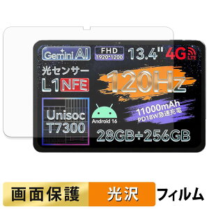 �y�|�C���g2�{�z LZF ZPad2 �t�B���� �t�� �ی�t�B���� �y �����ߗ� �z ���{��