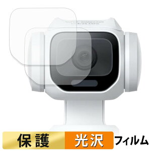 �y���������}���\���|�C���g2�{�z Insta360 Luna Pro ( �J���������Y�� ) (2���Z�b�g) �t�B���� �y �����ߗ� �z �ی�t�B���� ���{��