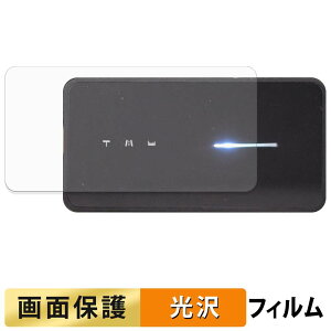 Schiit Vestri �t�B���� �y �����ߗ� �z �t�� �ی�t�B���� ���{��