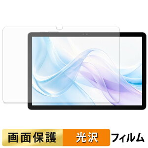 BIRDCLAW P11 Pro �t�B���� �t�� �ی�t�B���� �y �����ߗ� �z ���{��
