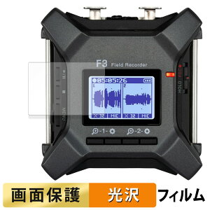 ZOOM F3 �t�B�[���h���R�[�_�[ �t�B���� �y �����ߗ� �z �t�� �ی�t�B���� ���{��