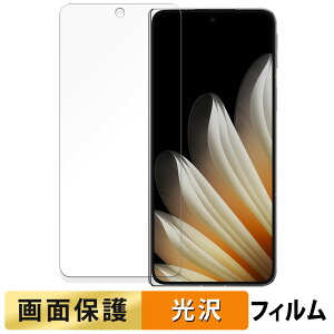 �y�|�C���g2�{�z OPPO Find N5 ( �T�u�f�B�X�v���C ) �t�B���� �y �����ߗ� �z �t�� �ی�t�B���� ���{��