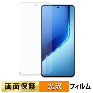 vivo iQOO Neo10 Pro+ �t�B���� �y �����ߗ� �z �t�� �ی�t�B���� ���{��