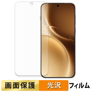 �y�|�C���g2�{�z vivo X300 Pro �t�B���� �y �����ߗ� �z �t�� �ی�t�B���� ���{��