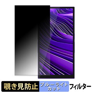 HiBy Music R6 Pro II / R6 Pro II 2025 �y 180�x �z �`�����h�~ �t�B���� �u���[���C�g�J�b�g �A���`�O���A ���{��