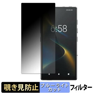 FiiO M33 R2R �y 180�x �z �`�����h�~ �t�B���� �u���[���C�g�J�b�g �A���`�O���A ���{��