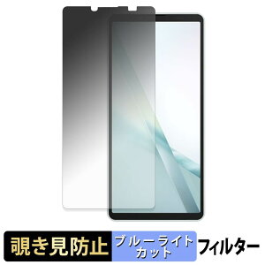 SONY Xperia 10 VIII �y 180�x �z �`�����h�~ �t�B���� �u���[���C�g�J�b�g �A���`�O���A ���{��