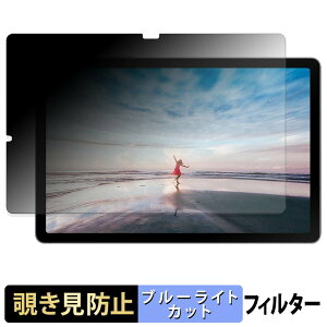 Samsung Galaxy Tab S10 Lite ( Wi-Fi ) �y 180�x �z �`�����h�~ �t�B���� �u���[���C�g�J�b�g �A���`�O���A ���{��